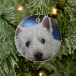 Ultra Cute Pestie Westie Terrier Julgransprydnad Keramik