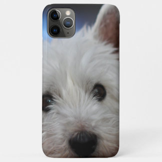 Ultra Cute Pestie Westie White Terrier