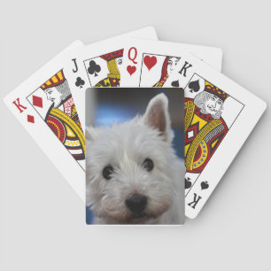 Ultra Cute Pestie Westie White Terrier Casinokort