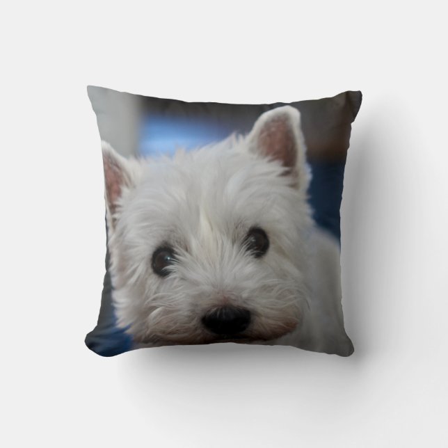 Ultra Cute Pestie Westie White Terrier Kudde (Framsida)