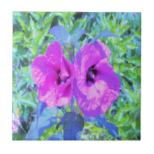 Ultra-Violetta Plum Crazy Purple Hibiskus Blommor