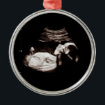 Ultraljudsklassi med Gravid baby-jul Julgransprydnad Metall<br><div class="desc">Ultraljudsklassen Metall Ornament i Graviden vid jul i baby kan anpassas helt efter dina behov i kostym. © Gorjo Designs. Gade åt dig via Zazzle-plattformen. // Obs! Fotot som används är endast en platshållarbild. Du måste byta ut det mot ett eget foto innan du beställer eller skriver ut det. Kontakta...</div>