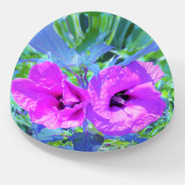 Ultrareviolett plommon Crazy Lila Hibiscus Flowers