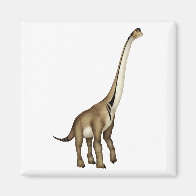 Ultrasaurus Magnet (Framsidan)