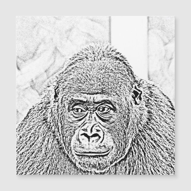 ultrasketch gorilla (Framsida)
