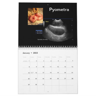 Ultrasound Bilder Kalender