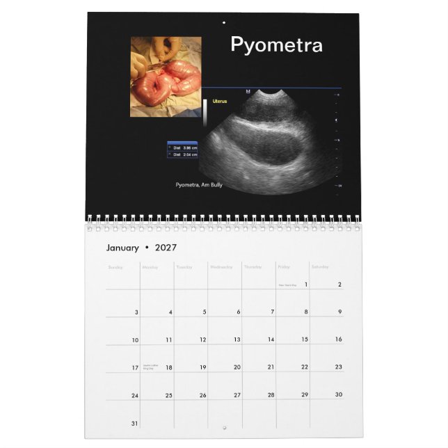 Ultrasound Bilder Kalender (Jan 2027)