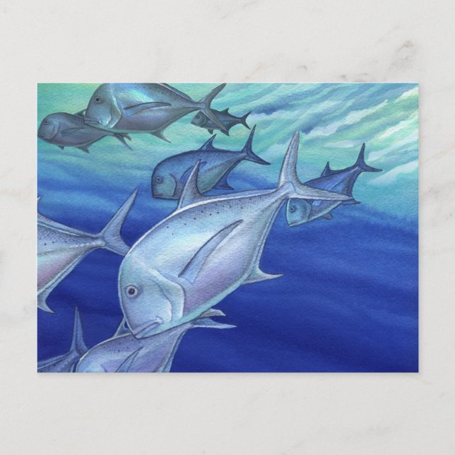 Ulua (jätte-trevally) vykort (Framsida)