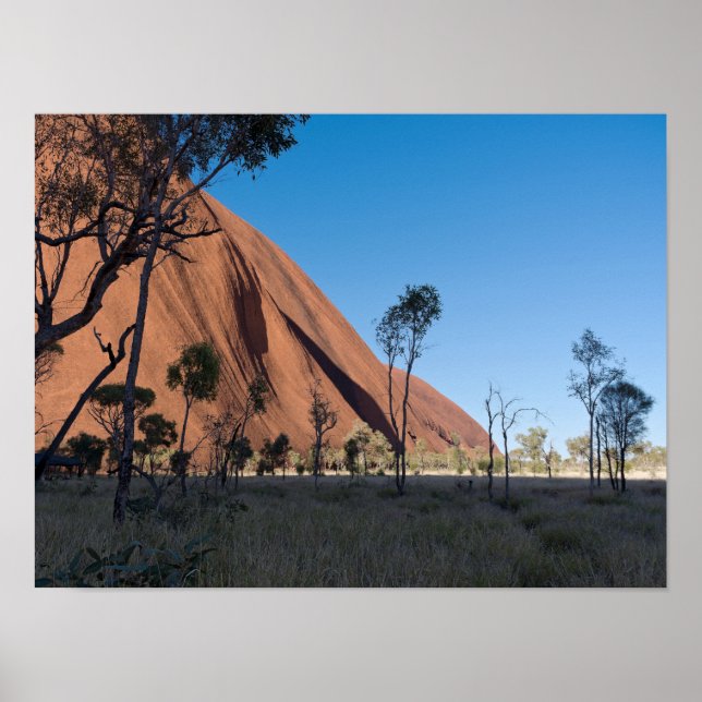 Uluru och öken slätt poster (Framsidan)