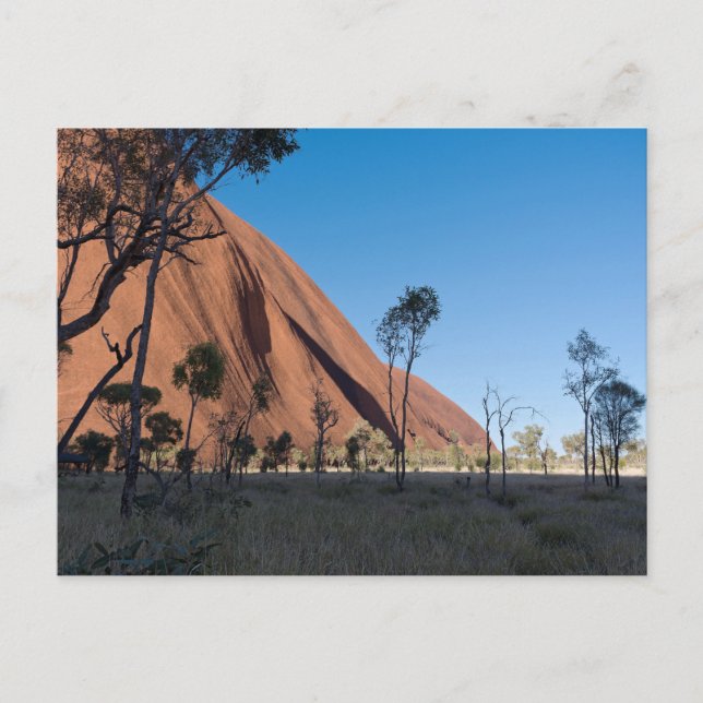 uluru och ökenslam vykort (Framsida)