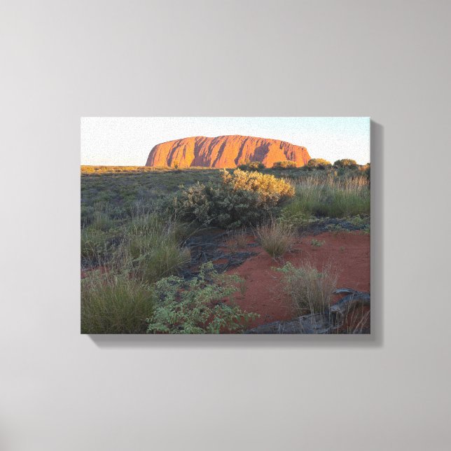 Uluru soluppgång och ökenflora canvastryck (Framsida)