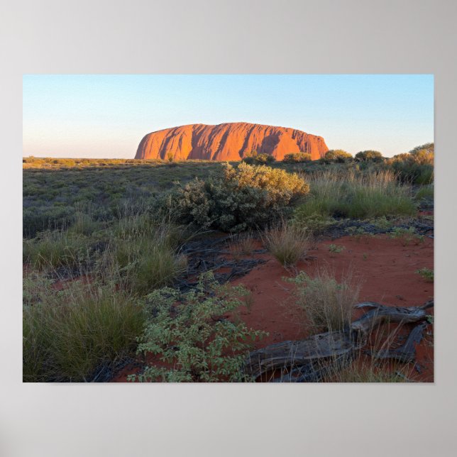 Uluru Sunrise and Desert Flora Poster (Framsidan)