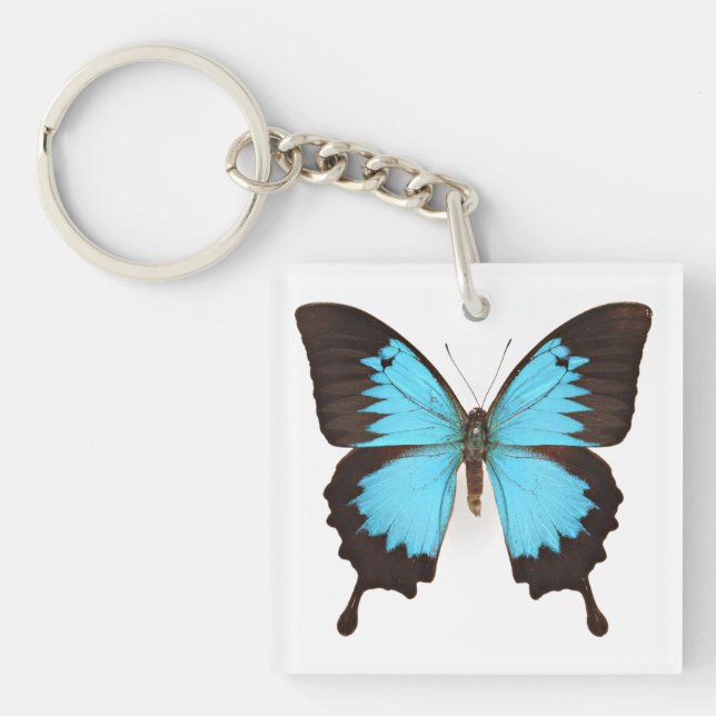 Ulysses Butterfly (Framsidan)