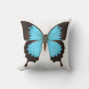 Ulysses Butterfly Kudde