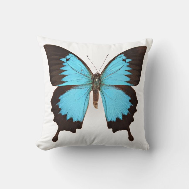 Ulysses Butterfly Kudde (Framsida)