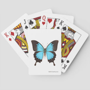 Ulysses fjäril casinokort