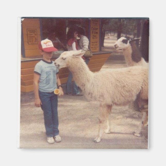 "Um Biting Llama" Magnet (Framsidan)