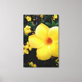 Uma alamanda canvastryck