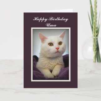 Uma Grattis på födelsedagen White Cat Card Kort