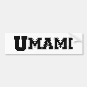 UMAMI COLLEGE BILDEKAL