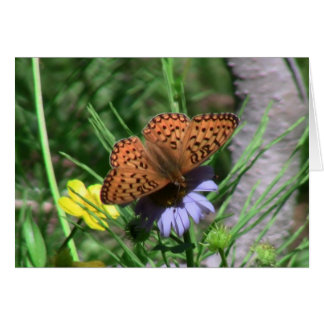 Umatilla Oregon Insekter / Arachnids Kryp Fauna Hälsningskort