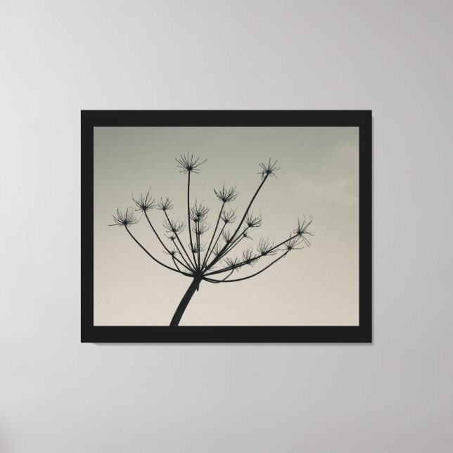 Umbellifer Flower i Winter-Kanvastrycket Canvastryck (Framsida)