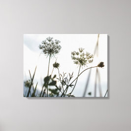 Umbels Flowers Outline - Blommigt Art Photography Canvastryck