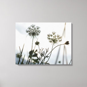 Umbels Flowers Outline - Blommigt Art Photography Canvastryck