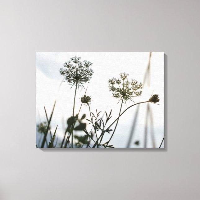 Umbels Flowers Outline - Blommigt Art Photography Canvastryck (Framsida)