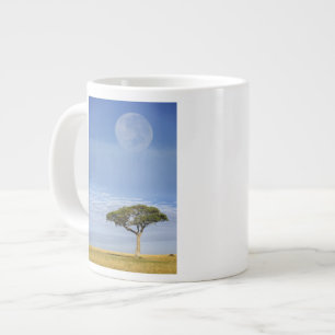 Umbrella Thorn Acacia, Acacia tortilis, och Jumbo Mugg