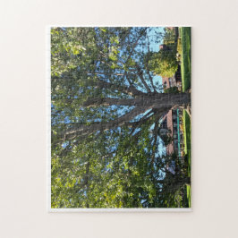 Umbrella Tree Pussel