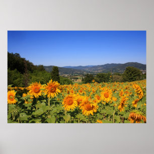 Umbrien Countryside - Italien Skriv ut Poster