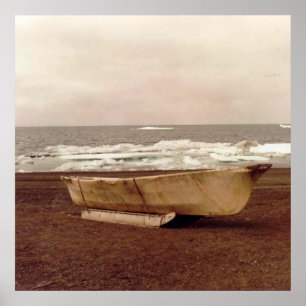 Umiak Walrus Skin Whalers Boat Photo Designad Poster
