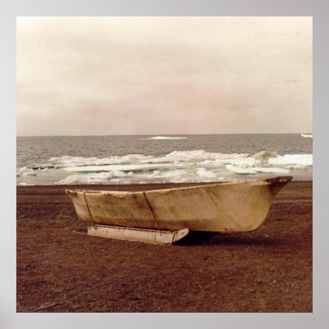 Umiak Walrus Skin Whalers Boat Photo Designad Poster (Framsidan)