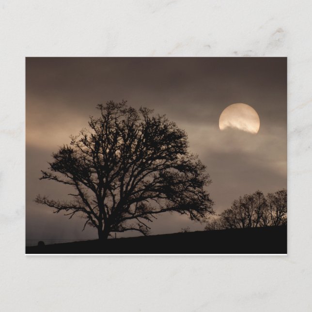 Umpqua Valley Sunrise Vykort (Framsida)