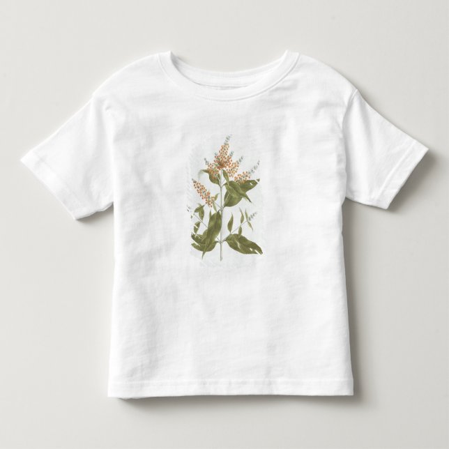 Umtar (Buddleiapolystachya) (w/c över grafiten på Tröja (Framsida)