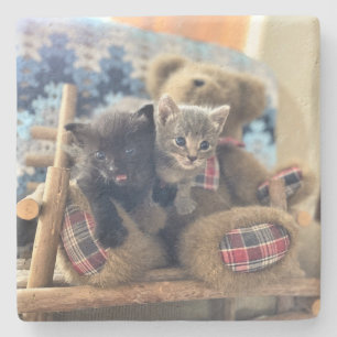 Un-Björnkittens-Merlin och Guinevere Stenunderlägg