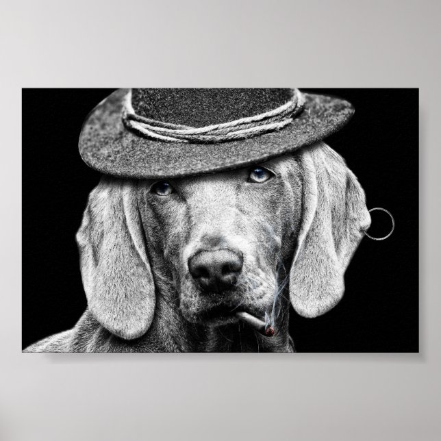 Un chien chic dans un chapeau punk. poster (Framsidan)