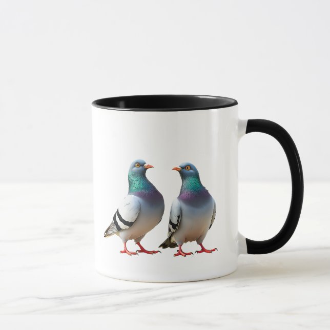Un couple de pigeon se promènent en ville. mugg (Höger)