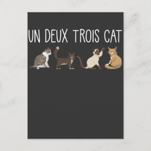 Un Deux Trois Cat Fransk Pun Kattunge Humor Djuräl Vykort