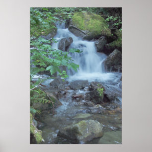Un-namngiven vattenfall poster