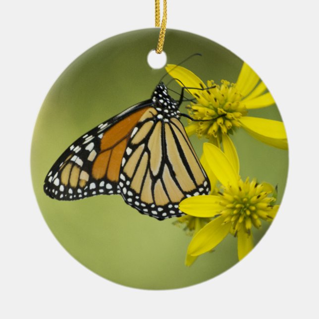 Unattached renhet julgransprydnad keramik (Framsidan)