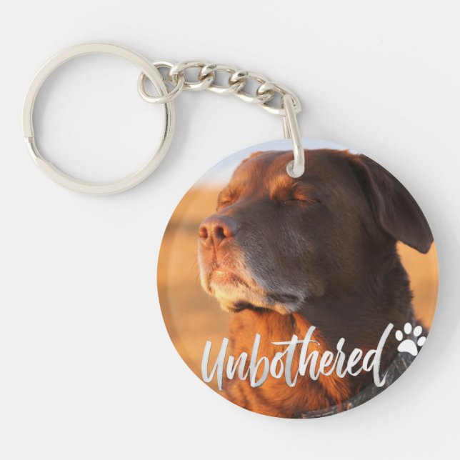Unbothered Golden Hour Dog – Premium Minimalist  (Framsidan)