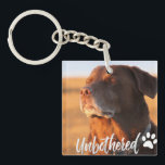 Unbothered Golden Hour Dog – Premium Minimalist<br><div class="desc">Capture the ultimate vibe of peace and serenity with our 'Unbothered' Dog T-shirt design. Featuring a soulful Labrador/Retriever soaking up the golden hour sun with eyes closed, this design perfectly embodies the feeling of switching off from the world. Written in a trendy, handcrafted script, the word 'Unbothered' adds a modern,...</div>