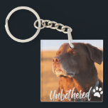 Unbothered Golden Hour Dog – Premium Minimalist<br><div class="desc">Capture the ultimate vibe of peace and serenity with our 'Unbothered' Dog T-shirt design. Featuring a soulful Labrador/Retriever soaking up the golden hour sun with eyes closed, this design perfectly embodies the feeling of switching off from the world. Written in a trendy, handcrafted script, the word 'Unbothered' adds a modern,...</div>