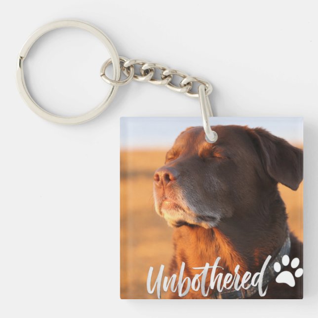 Unbothered Golden Hour Dog – Premium Minimalist  (Framsidan)