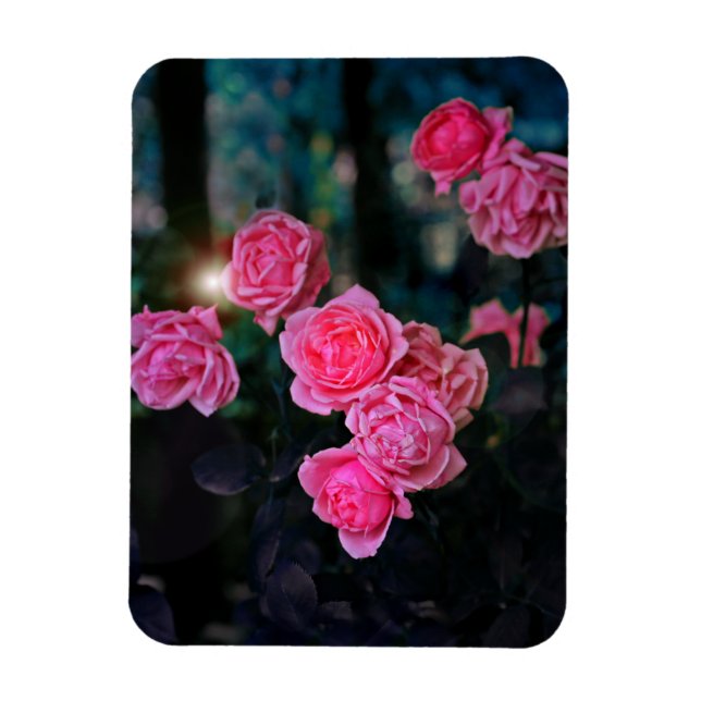 Undanröja flexibel fotomagnet magnet (Vertikal)