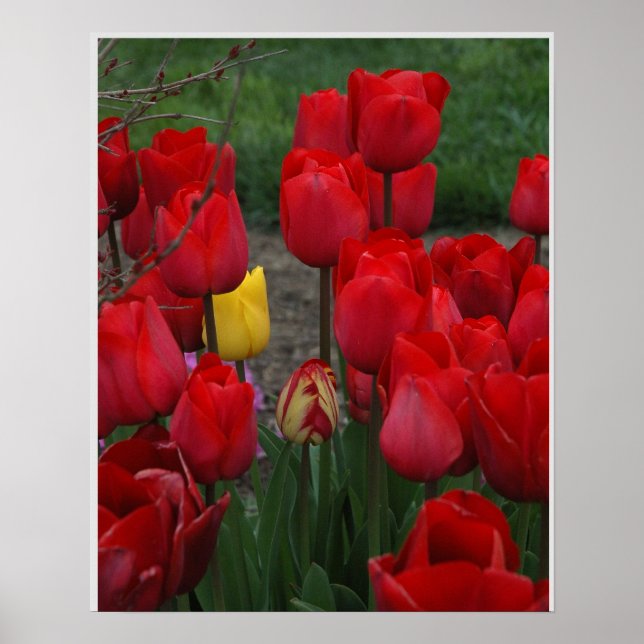 Undantag Poster (Framsidan)