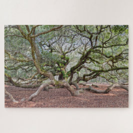 Under Angel Oak, South Carolina Pussel