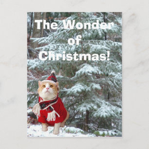 Under av jul! helg vykort